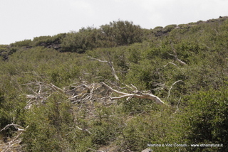 rra delle Concazze-05-08-2014 13-03-47